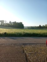20240510_071209.jpg
