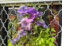 IMG_5086.jpeg