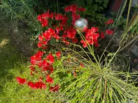 IMG_5053.jpeg