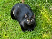 IMG_5083.jpeg