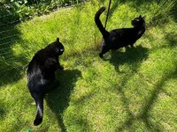 IMG_5070.jpeg