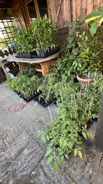 IMG_9965.jpeg