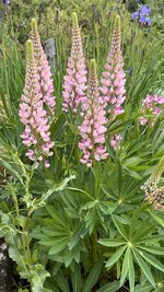 IMG_9958.jpeg