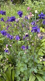 IMG_9956.jpeg