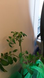 20240510_184044.jpg
