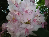 IMG_20240509_130701.webp