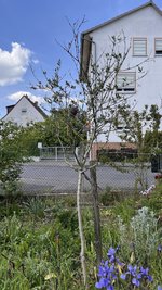 IMG_9951.jpeg