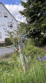 IMG_9952.jpeg