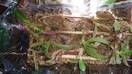 20240427_121742.webp