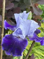 IMG_2899.webp