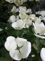 20240509_195453.webp