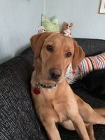 IMG_0507.jpeg