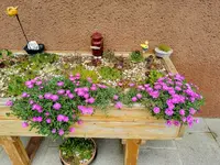IMG_20210610_120744.webp