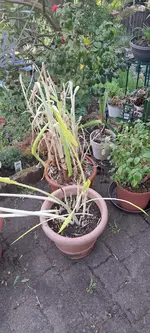 20240512_171238.webp