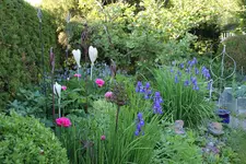 Mai     1524.webp