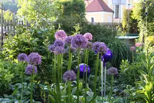 Mai     1824.webp