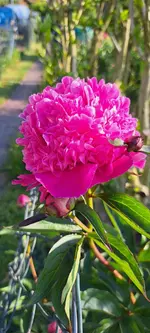 20240512_181956.webp