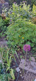 20240512_181805.jpg
