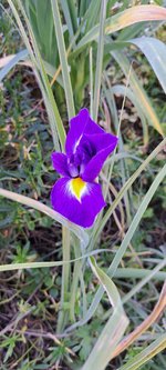 20240512_181751.jpg