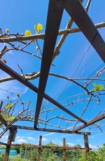 20240511_151908.jpg