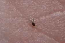 Gnitze 20240512b.webp Gnitze 20240512b.webp