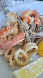 20230910_132915.webp