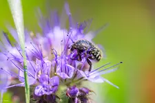 20240513-124356-Impressionen-R5M15279-01843.webp