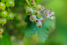 20240513-124619-Impressionen-R5M15290-01845.webp