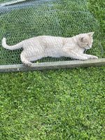 IMG_3705.jpeg
