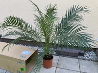 IMG_1704.JPG
