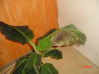 Bild 030.webp