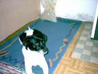 076.webp