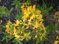 DSCN3993.webp
