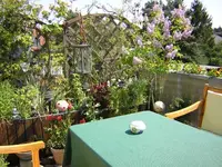 DSCN0044.webp