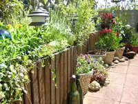 DSCN0049.webp