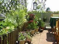 DSCN0048.webp