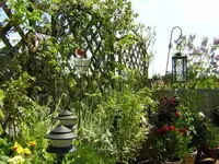 DSCN0050.webp