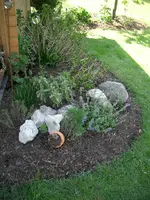 CIMG3513.webp