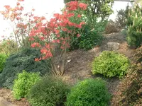 CIMG3533.webp