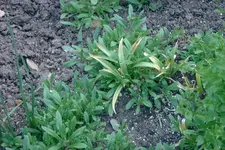 DSCF0004.webp