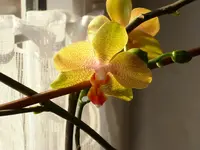DSCI0028a.webp