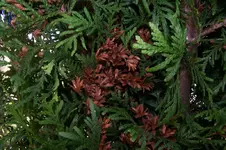 100_3892.webp