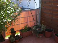 Garten04-2008 014.webp