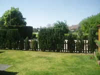 Hecke 001.webp