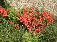 CIMG3532.webp