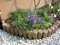mrz2007blumen.webp