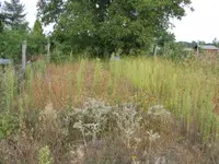 unberührt_2005.webp