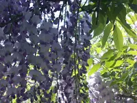 DSCN4027.webp
