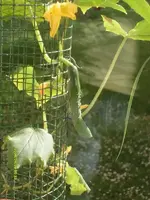 K800_S7302519.webp