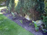 jpg2.webp